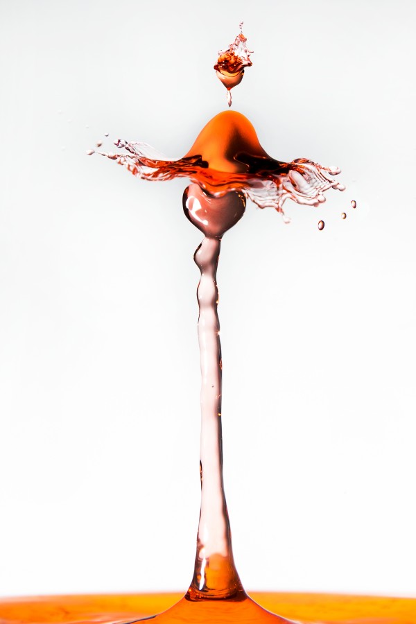 ABSTRACT FLUIDS  025  Limited Edition by Studio HB